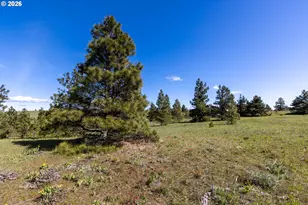 45 Clark Rd, Lyle, WA 98635 - Photo 26