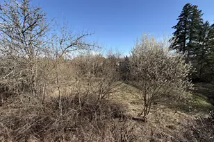 17808 NW Pioneer Rd, Beaverton, OR 97006 - Photo 44