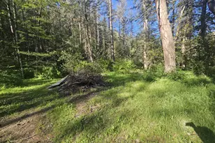 4539 Hwy 238, Jacksonville, OR 97530 - Photo 4