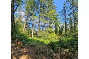 0 Washougal River Rd, Washougal, WA 98671 - Photo 1