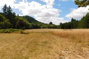13794 Clear Creek Rd, Vernonia, OR 97064 - Photo 36