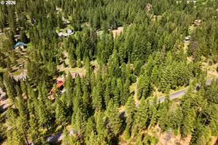 117 Jennings Rd, Trout Lake, WA 98650 - Photo 42