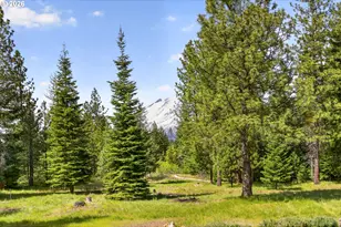 117 Jennings Rd, Trout Lake, WA 98650 - Photo 4