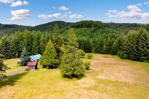 211 Young Rd, Cook, WA 98605 - Photo 18