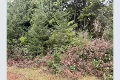 0 Wildberry Rd, Coos Bay, OR 97420 - Photo 4