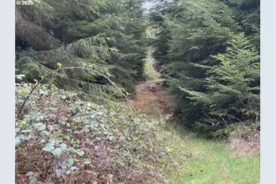 0 Wildberry Rd, Coos Bay, OR 97420 - Photo 1