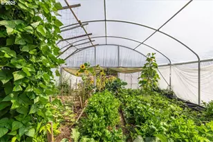 864 Spencer Rd, Toledo, WA 98591 - Photo 28