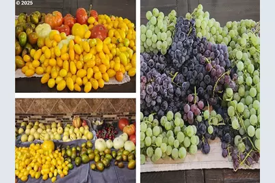 864 Spencer Rd, Toledo, WA 98591 - Photo 44