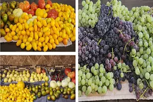 864 Spencer Rd, Toledo, WA 98591 - Photo 44