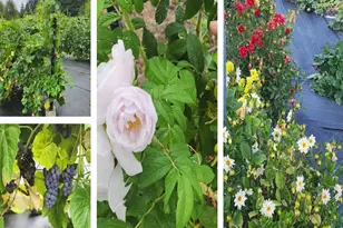 864 Spencer Rd, Toledo, WA 98591 - Photo 42