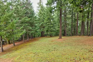 894 Colwell Hill Ln, Roseburg, OR 97471 - Photo 48