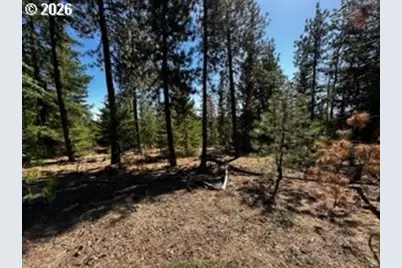 2 Orchard Heights Rd, Goldendale, WA 98620 - Photo 4