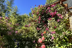 87911 Territorial Rd, Veneta, OR 97487 - Photo 26