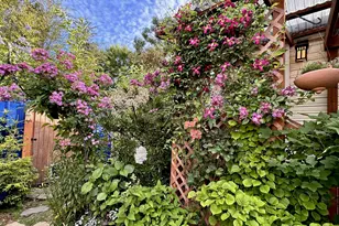 87911 Territorial Rd, Veneta, OR 97487 - Photo 24