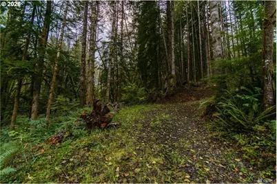 1 Lot Bison Run, Longview, WA 98632 - Photo 6
