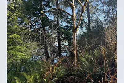 5 Hilltop Dr #1403, Lakeside, OR 97449 - Photo 16