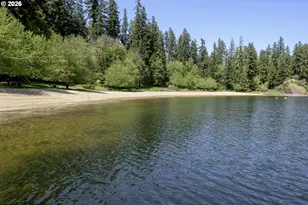 1901 Loon Lake Rd Lot 8, Reedsport, OR 97467 - Photo 14