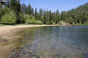 1901 Loon Lake Rd Lot 8, Reedsport, OR 97467 - Photo 16