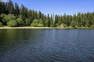 1901 Loon Lake Rd Lot 8, Reedsport, OR 97467 - Photo 12
