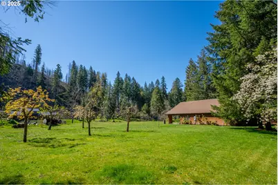 46836 McKenzie Hwy, Vida, OR 97488 - Photo 42