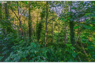0 Spring St, Clatskanie, OR 97016 - Photo 4