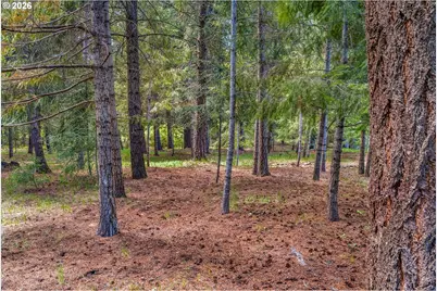 56 Lava Rd, Trout Lake, WA 98650 - Photo 42