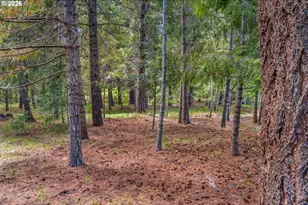 56 Lava Rd, Trout Lake, WA 98650 - Photo 42