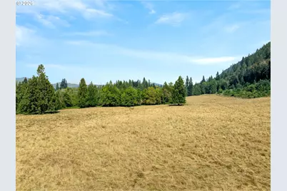 39827 NE Gerber McKee Rd, Amboy, WA 98601 - Photo 42
