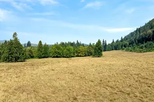 39827 NE Gerber-McKee Rd, Amboy, WA 98601 - Photo 42