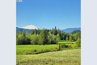 39827 NE Gerber McKee Rd, Amboy, WA 98601 - Photo 4