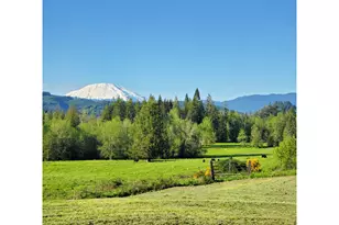 39827 NE Gerber-McKee Rd, Amboy, WA 98601 - Photo 4
