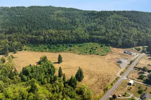39827 NE Gerber-McKee Rd, Amboy, WA 98601 - Photo 32