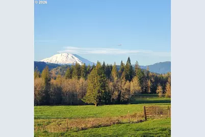 39827 NE Gerber McKee Rd, Amboy, WA 98601 - Photo 44