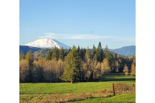 39827 NE Gerber-McKee Rd, Amboy, WA 98601 - Photo 44