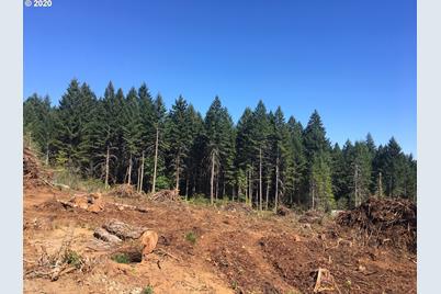 1 Fisk Rd, Noti, OR 97461 - Photo 1