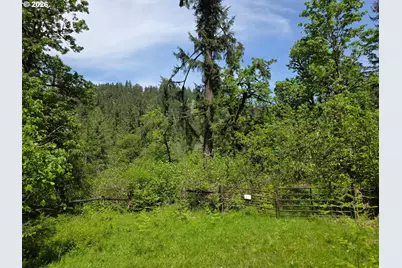 Lewis Cemetery Rd, Silverton, OR 97381 - Photo 1