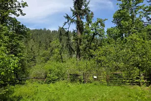 Lewis Cemetery Rd, Silverton, OR 97381 - Photo 1