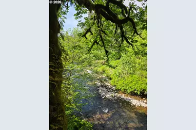 Lewis Cemetery Rd, Silverton, OR 97381 - Photo 2