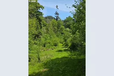 Lewis Cemetery Rd, Silverton, OR 97381 - Photo 8
