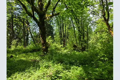 Lewis Cemetery Rd, Silverton, OR 97381 - Photo 4