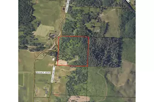 81499 Territorial Hwy, Eugene, OR 97405 - Photo 38