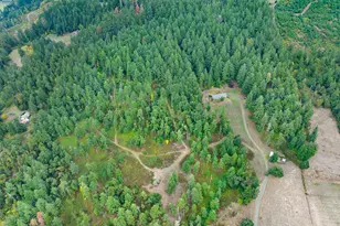 81499 Territorial Hwy, Eugene, OR 97405 - Photo 36