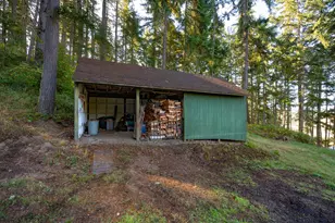 81499 Territorial Hwy, Eugene, OR 97405 - Photo 10