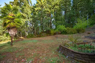 81499 Territorial Hwy, Eugene, OR 97405 - Photo 32