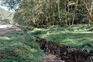 1860 Oar Creek Rd, Reedsport, OR 97467 - Photo 16