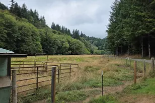 1860 Oar Creek Rd, Reedsport, OR 97467 - Photo 8