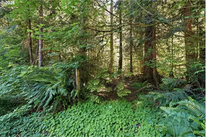 50136 SE Weber Rd, Sandy, OR 97055 - Photo 42