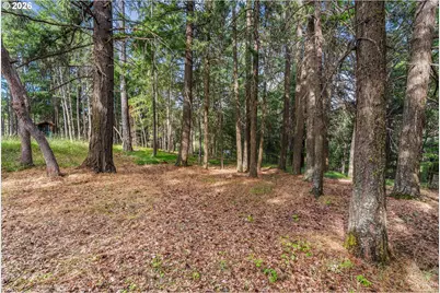 24 Meadows Loop, Lyle, WA 98635 - Photo 20