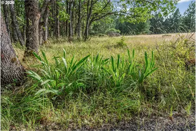 24 Meadows Loop, Lyle, WA 98635 - Photo 24