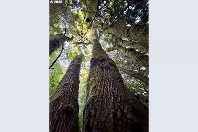 000 Old Wagon, Coos Bay, OR 97420 - Photo 20
